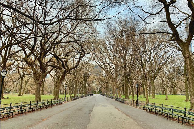 A photo of a mostly empty Central Park